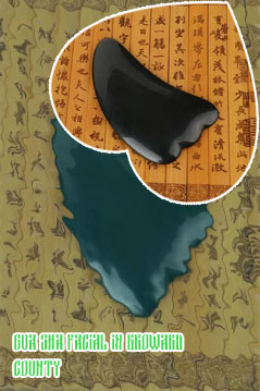 Chinese medicine gua sha shop